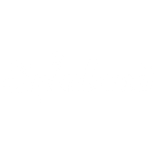 Spinland logo